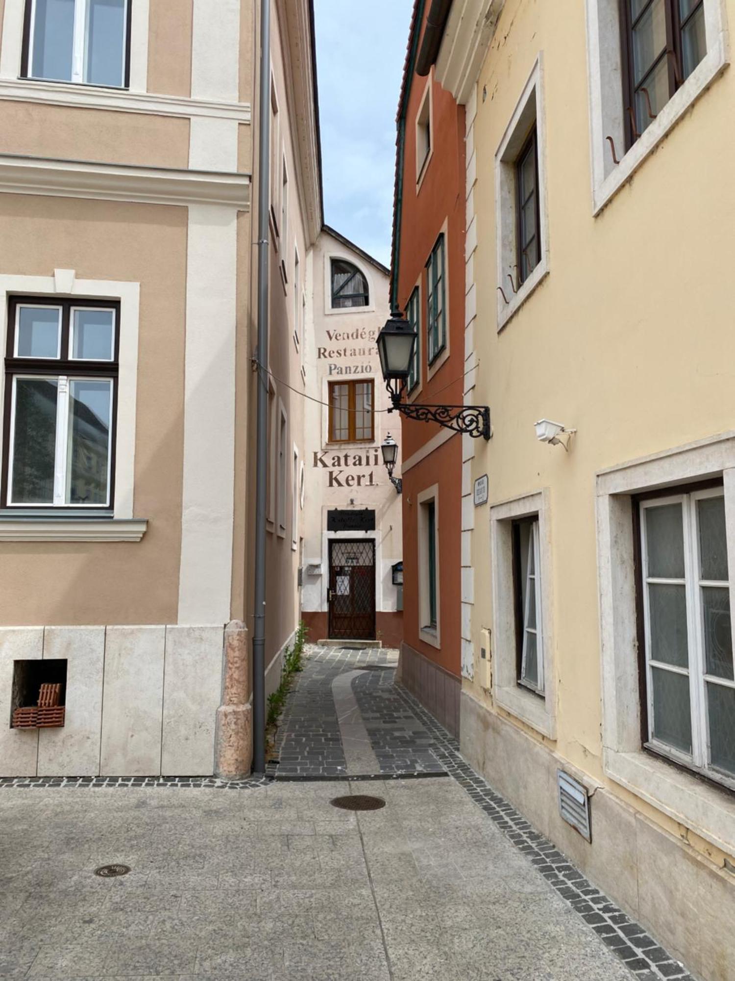 ジュール Katalinkert Panzio Bed & Breakfast エクステリア 写真
